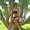 Photo of Richelle N.