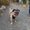 Photo of Chloe S.