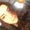 Photo of Alessia D.