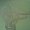 Photo of Qype User (apa…)
