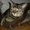 Photo of Qype User (millie…)