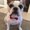 Photo of Millie N.