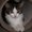 Photo of Qype User (lattal…)