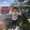 Photo of Kayleb H.