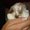 Photo of Qype User (jessic…)