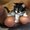 Photo of Qype User (inga19…)