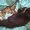 Photo of Qype User (Kanna_…)