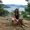 Photo of JoAnna S.
