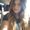 Photo of Liliana G.