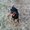 Photo of Qype User (sharan…)