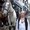 Photo of Qype User (maggie…)