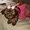 Photo of Lorie P.