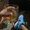 Photo of Renso S.