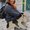 Photo of Lise Q.
