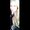 Photo of Nicole M.