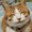Photo of Cat M.