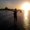 Photo of Shazina M.