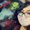 Photo of Mayra P.
