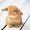 Photo of Bunny F.