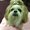 Photo of Delores T.