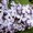 Photo of Qype User (fine8…)