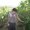 Photo of Yukie C.