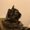 Photo of Brina M.