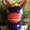 Photo of Burro R.