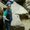 Photo of Shashank P.