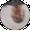 Photo of Judee N.