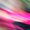 Photo of Glitter P.