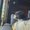 Photo of Jae J.