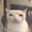Photo of Mercet M.