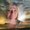 Photo of Tami D.