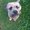 Photo of Qype User (fhj…)
