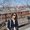 Photo of Sahar S.