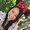 Photo of Lily T.