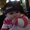 Photo of Trisha L.