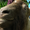 Photo of Trogg R.