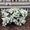 Photo of Ashtyn G.