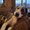 Photo of MS V.