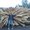 Photo of Qype User (Gork…)