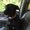 Photo of Buel S.