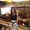 Photo of Mikayla F.