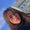 Photo of Amanda T.