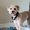 Photo of Layla C.