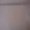Photo of Guybrush T.