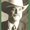 Photo of Jeff M.
