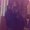Photo of Nichole W.