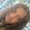 Photo of Nonchalantsimondachipmonk E.
